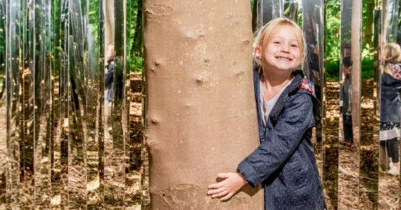 L’enfant en forêt : contes et récits